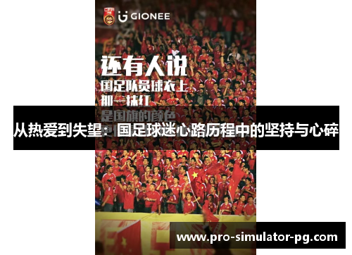 从热爱到失望：国足球迷心路历程中的坚持与心碎