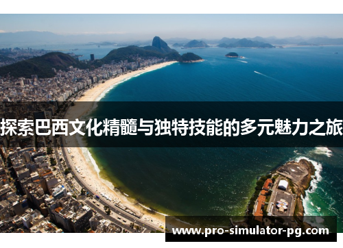 探索巴西文化精髓与独特技能的多元魅力之旅
