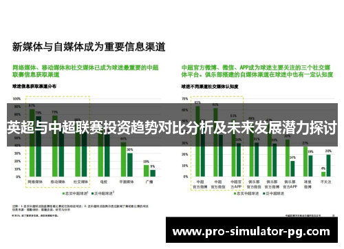 英超与中超联赛投资趋势对比分析及未来发展潜力探讨