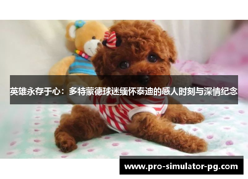 英雄永存于心：多特蒙德球迷缅怀泰迪的感人时刻与深情纪念