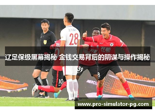 辽足保级黑幕揭秘 金钱交易背后的阴谋与操作揭秘 辽足保级黑幕揭秘 金钱交易背后的阴谋与操作揭秘