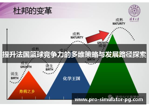 提升法国篮球竞争力的多维策略与发展路径探索