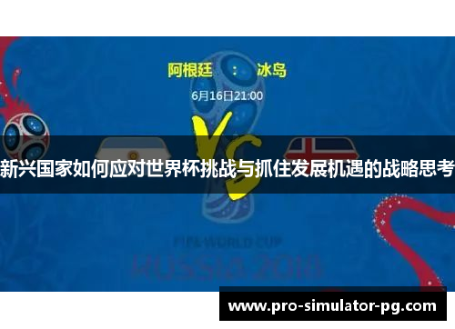 新兴国家如何应对世界杯挑战与抓住发展机遇的战略思考