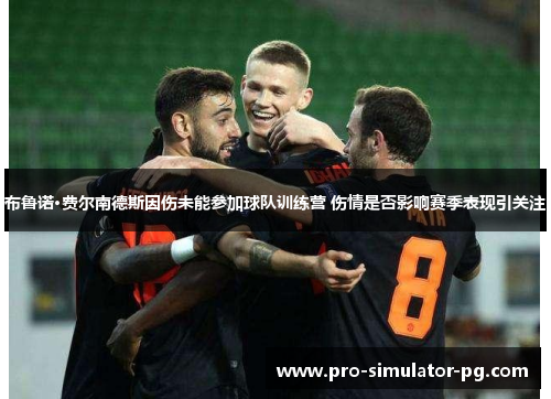 布鲁诺·费尔南德斯因伤未能参加球队训练营 伤情是否影响赛季表现引关注